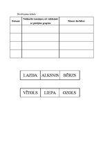 Paraugs 'Praktisks uzdevums dabas zinībās', 3.