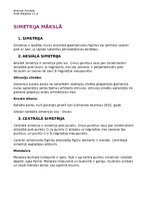 Prezentācija 'Simetrija mākslā', 13.