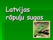 Prezentācija 'Rāpuļu sugas Latvijā', 1.