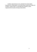 Referāts '"X" pārvaldes ārējā komunikācija ar pagasta iedzīvotājiem', 17.