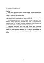 Referāts 'Organizācija viesnīcā - restorānā "Eufrosine", menedžmenta vispārīgā analīze', 5.