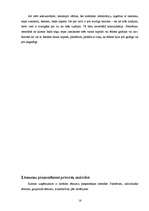 Referāts 'Organizācija viesnīcā - restorānā "Eufrosine", menedžmenta vispārīgā analīze', 16.