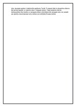 Konspekts 'Ziemassvētki un Jaunais gads Turcijā', 2.