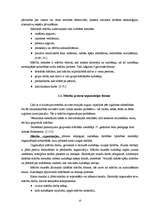 Referāts 'Jauniešu ar īpašām vajadzībām integrācija mācību procesā', 9.