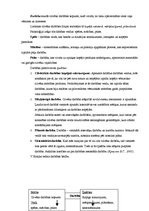 Referāts 'Mūzikas darbības būtība un veidi', 2.