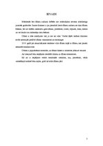 Konspekts 'Džinsi, džinsu audums', 3.