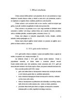 Konspekts 'Džinsi, džinsu audums', 5.