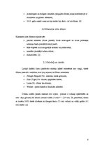 Konspekts 'Džinsi, džinsu audums', 6.