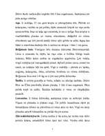 Konspekts 'Dienvidamerikas dzīvnieki', 2.