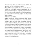 Konspekts 'Dienvidamerikas dzīvnieki', 4.