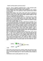 Referāts 'Čigāntautība', 5.