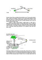 Referāts 'Čigāntautība', 6.