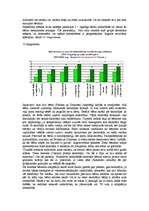 Referāts 'Čigāntautība', 7.