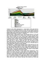 Referāts 'Čigāntautība', 11.