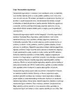 Eseja 'Starptautiskās organizācijas: nozīme, struktūra un globālā sadarbība', 1.