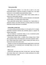 Referāts 'Grāmatvedības uzskaites konti, komercbankas bilances posteņi', 3.