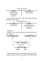 Referāts 'Grāmatvedības uzskaites konti, komercbankas bilances posteņi', 4.