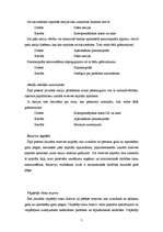 Referāts 'Grāmatvedības uzskaites konti, komercbankas bilances posteņi', 7.