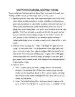 Konspekts 'Ilutas Plotņikovas grāmatas "Salas rēgs" recenzija', 1.