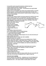 Konspekts 'Elektrokardiogramma', 4.