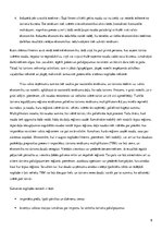 Referāts 'Tūrisma ekonomiskā ietekme. Multiplikatora efekts', 9.