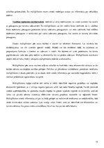 Referāts 'Tūrisma ekonomiskā ietekme. Multiplikatora efekts', 12.