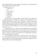 Referāts 'Tūrisma ekonomiskā ietekme. Multiplikatora efekts', 28.