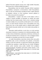 Diplomdarbs 'Būvprojekta tiesiskā reglamentācija', 19.