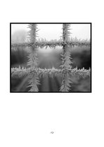 Referāts 'Sals', 12.