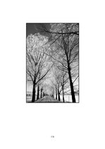 Referāts 'Sals', 13.