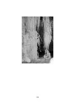 Referāts 'Sals', 14.