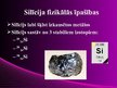 Prezentācija 'Silīcijs', 4.