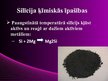 Prezentācija 'Silīcijs', 5.