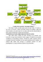 Diplomdarbs 'Eiropas Savienības struktūrfondu finansējuma integrācijas publiskās un privātās ', 54.