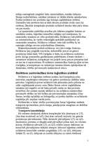 Referāts 'Noliktavu veidi un noliktavu saimniecības lēmumi', 3.