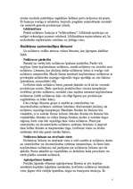 Referāts 'Noliktavu veidi un noliktavu saimniecības lēmumi', 5.