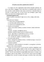 Konspekts '5 - 6 gadus vecu bērnu sagatavošana skolai', 1.