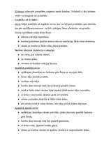 Konspekts 'Volejbols', 3.