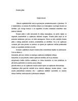 Biznesa plāns 'SIA "Recargo" biznesa plāns', 1.