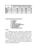 Biznesa plāns 'SIA "Recargo" biznesa plāns', 6.