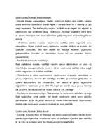 Biznesa plāns 'SIA "Recargo" biznesa plāns', 13.