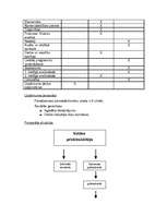 Biznesa plāns 'SIA "Recargo" biznesa plāns', 17.