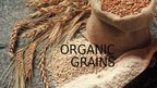 Prezentācija 'Organic Grains', 1.