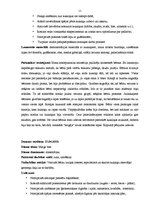 Prakses atskaite 'Kvalifikācijas prakse pirmsskolā', 11.