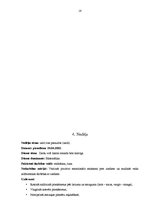 Prakses atskaite 'Kvalifikācijas prakse pirmsskolā', 16.