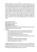 Prakses atskaite 'Kvalifikācijas prakse pirmsskolā', 24.