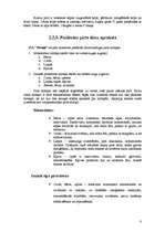 Biznesa plāns 'SIA ''Pirtiņš''', 8.