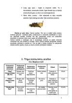 Biznesa plāns 'SIA ''Pirtiņš''', 9.