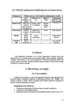 Biznesa plāns 'SIA ''Pirtiņš''', 10.