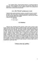 Biznesa plāns 'SIA ''Pirtiņš''', 11.